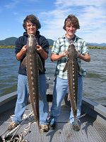 columbia river sturgeon fishing