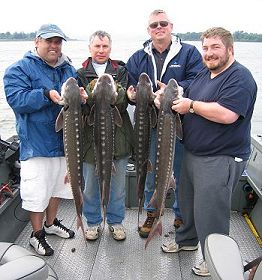 astoria sturgeon fishing