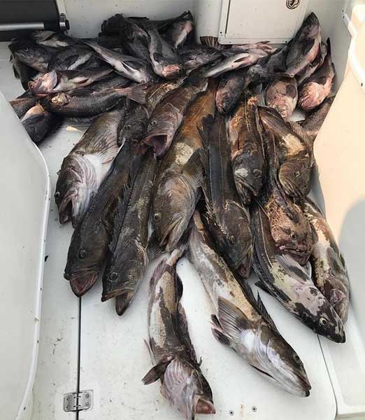 Astoria Bottom Fishing Charters