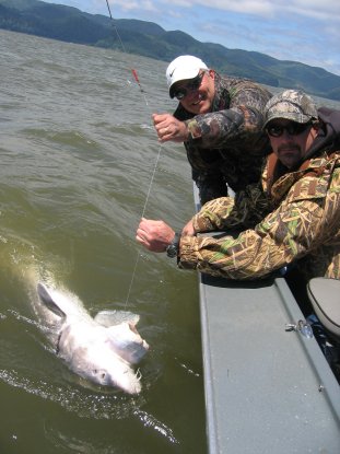 Columbia River Fishing Guides