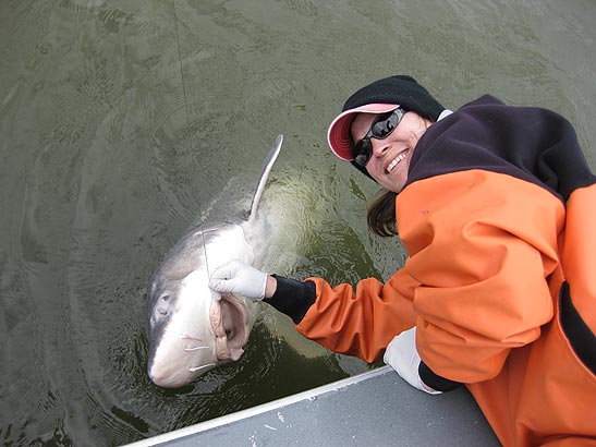 Columbia River Sturgeon Fishing Guides