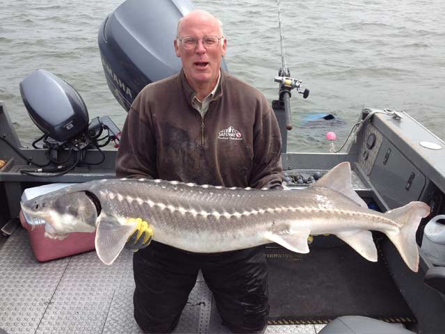 Guided sturgeon trips.