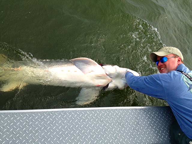 Sturgeon fishing on the Columbia River.