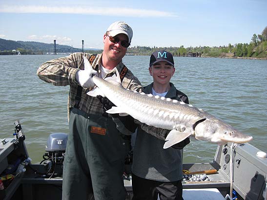 Willamette River Sturgeon Fishing