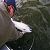 washington fishing guide