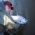 washington fishing guide