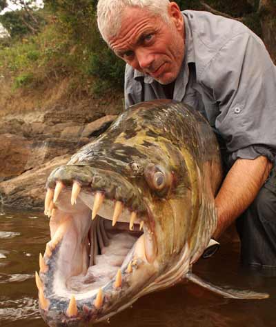 Tiger Fish being held