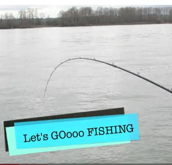 Spring Chinook Fishing Videos