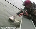Columbia River Stugeon Fishing Video