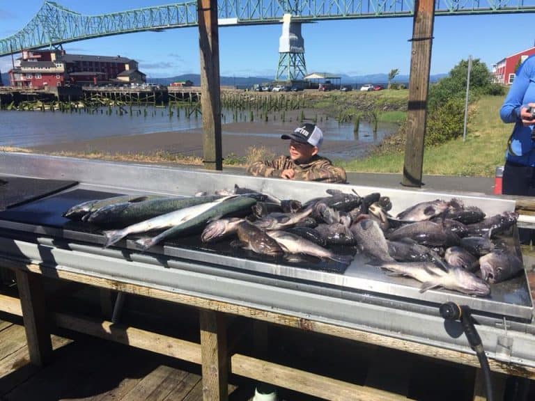 Halibut Fishing Charters Washington Total Fisherman