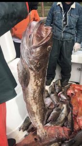 Oregon Deep Sea Fishing