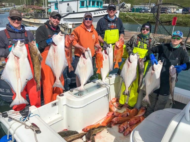 Halibut Fishing Charters Washington Total Fisherman