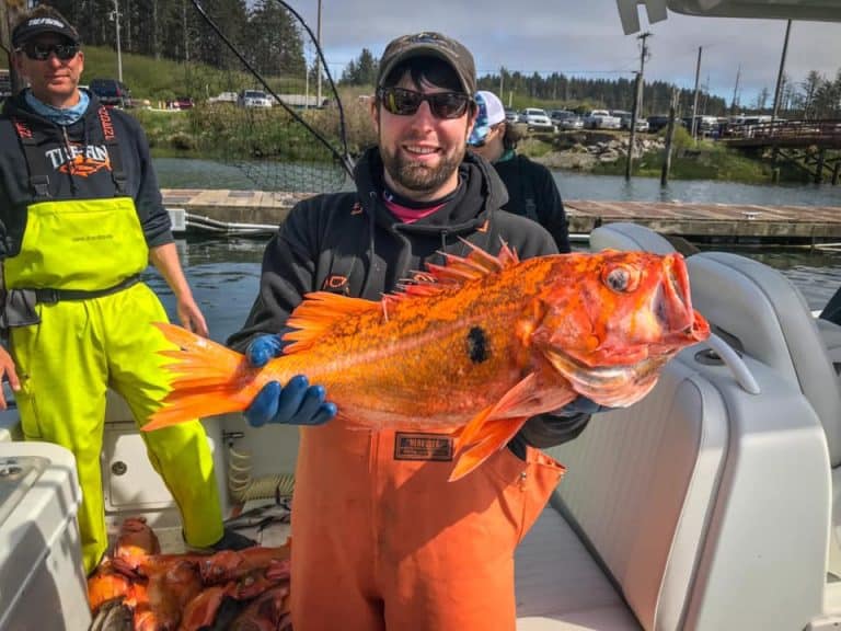 Halibut Fishing Charters Washington Total Fisherman