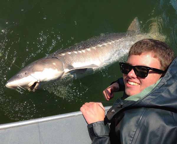 Fishing for trophy sturgeon