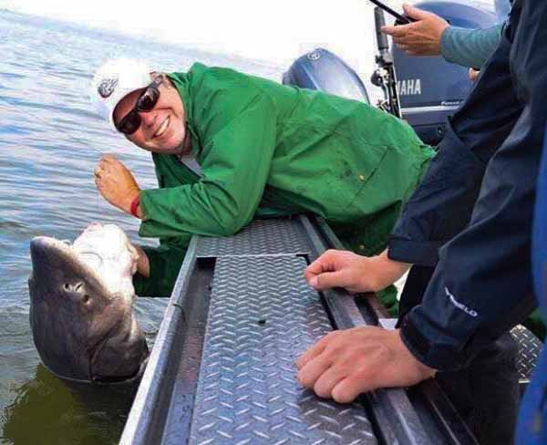 Trophy Sturgeon Fishing