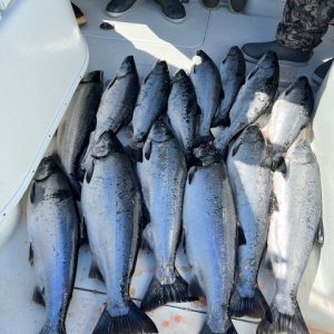 Ilwaco Salmon Fishing Trip $295 per angler this is a 50% deposit.