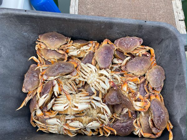Ilwaco Crabbing Trip $150 per angler this is a 50% deposit.