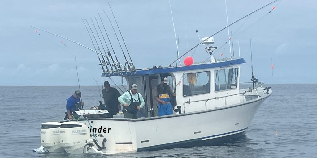 tuna-tinder-original tuna-tinder-original
